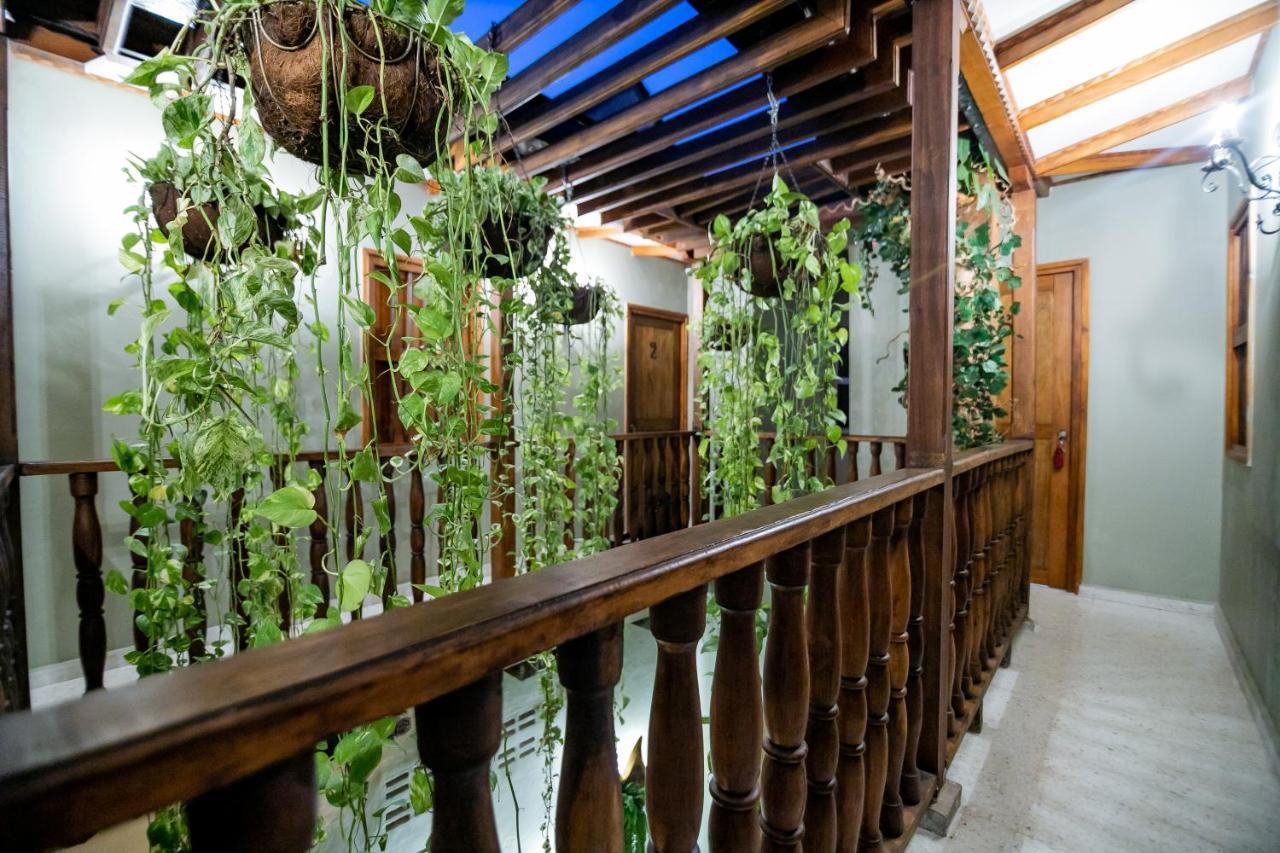 Scalea Di Mare Hotel Cartagena Εξωτερικό φωτογραφία